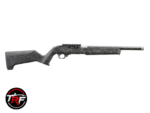 Ruger 10/22