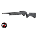 Ruger 10/22