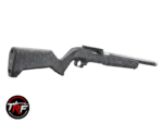 Ruger 10/22