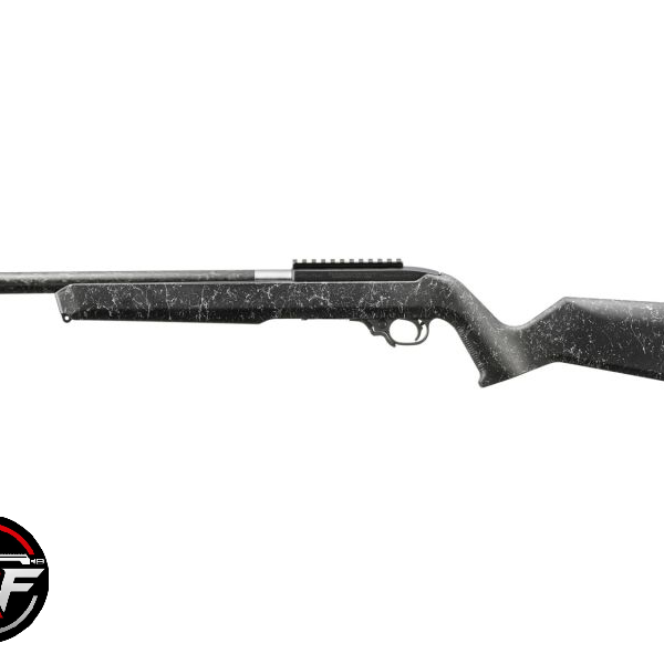 Ruger 10/22